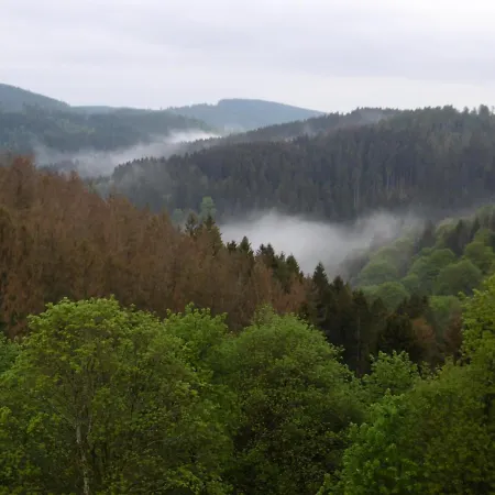 Panoramablick * Sankt Andreasberg